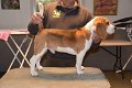 Afb_20171112_george (5)